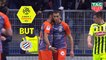 But Ellyes SKHIRI (16ème) / Montpellier Hérault SC - Angers SCO - (2-2) - (MHSC-SCO) / 2018-19