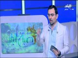 صباح البلد - أحمد مجدي: القضية الفلسطينية هي قضية مصر الاولي وجميع اجهزة الدولة تتحرك لإيجاد حل لها