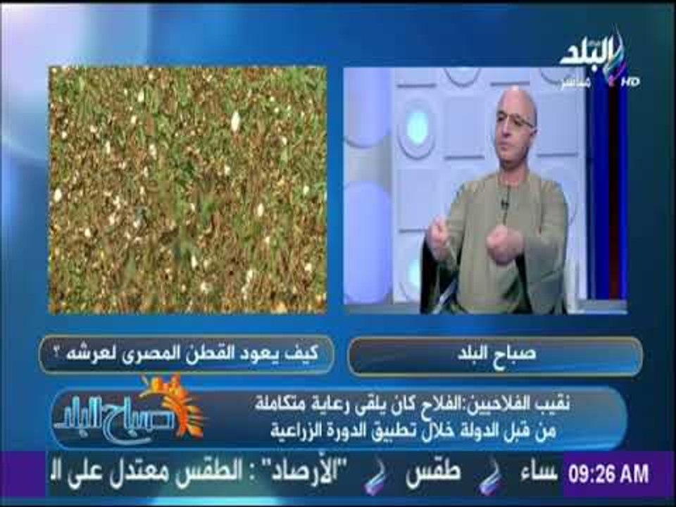 صباح البلد - نقيب الفلاحيين : إلغاء الدورة الزراعية وترك القطاع للعرض والطلب أضر بالفلاح والزراعة