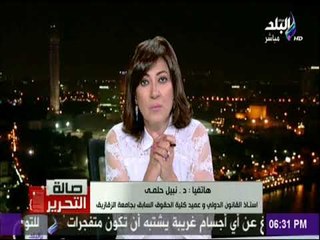صالة التحرير - نبيل حلمى استاذ القانون الدولي: مشروع قانون إسقاط الجنسية غير دستوري