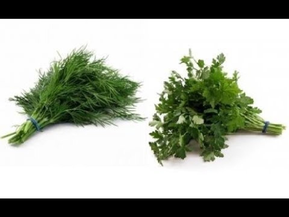 سألنا البنات .. إيه الفرق بين الشبت و البقدونس و الكسبرة ؟