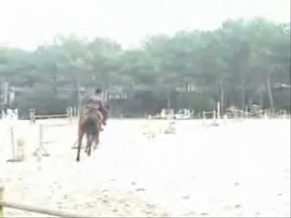 Diadme montage 3