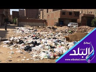 صدى البلد | أهالي بكفر نصار: الحشرات تحاصرنا بسبب القمامة