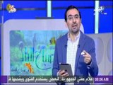 صباح البلد - أحمد مجدي: يجب علي المواطن أن يبلغ عن المحل اللي بيبيع سلعة بجشع أو بيرفع أسعار بمزاجه