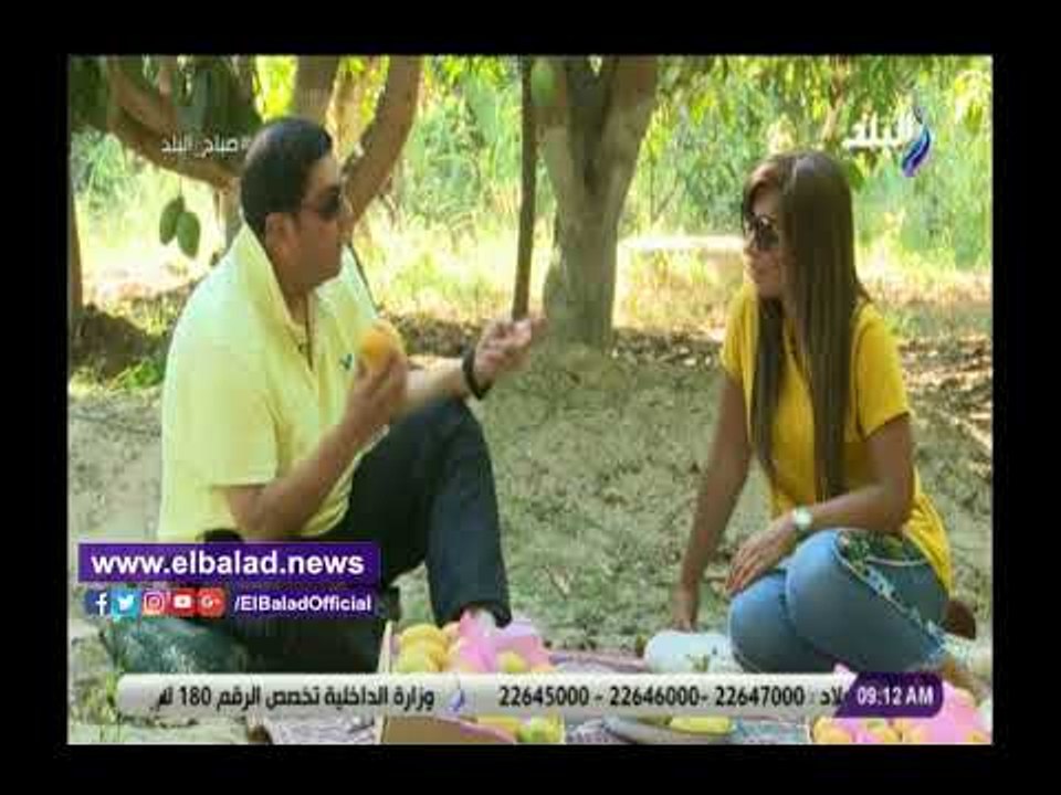 صدى البلد | صاحب مزرعة: 200 ألف طن إجمالى إنتاج...