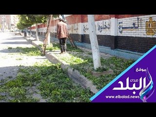صدى البلد | تشجير وتقليم الأشجار بشوارع ومدارس إيتاى البارود