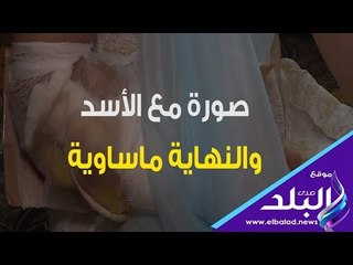 صدي البلد | سيدة تنجو من الموت بعد هجوم أسد بسبب صورة!