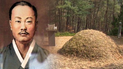 [단독] 보훈지청장이 벌초까지 했는데 묘소 '몰라' / YTN