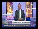 صدي البلد | أحمد موسى: كتائب الإخوان الإرهابية تهاجم مؤيدي يونيو ويوليو