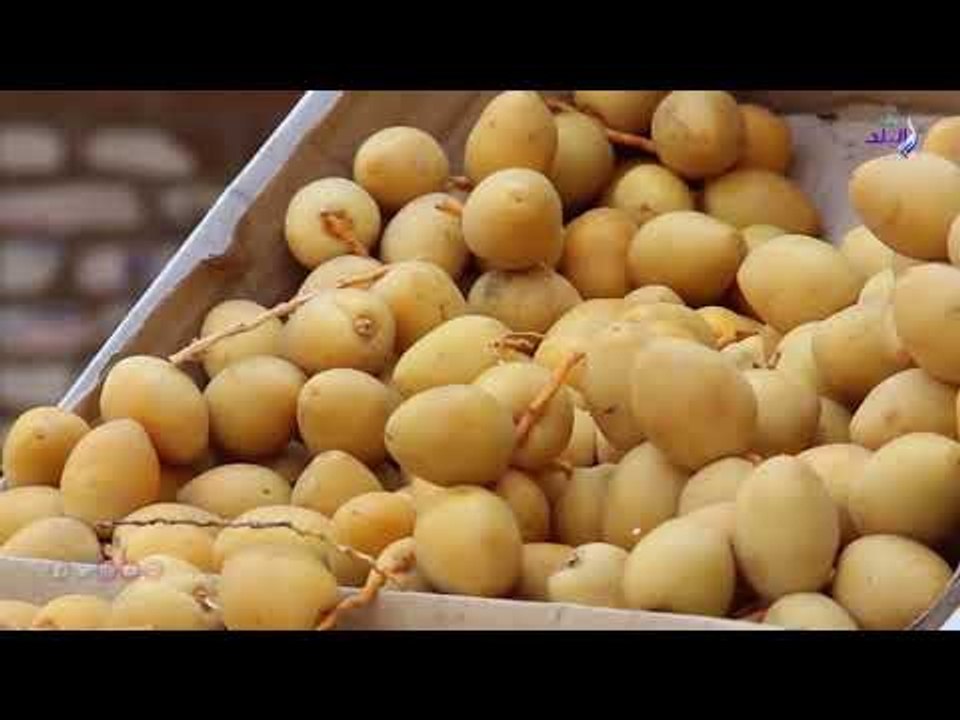 صدي البلد | رغم حملات المقاطعة :استمرار ارتفاع أسعار الفاكهة