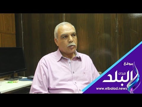 صدي البلد | بيطري الجيزة تنظيم حملات للقضاء على ظاهرة الكلاب الضالة