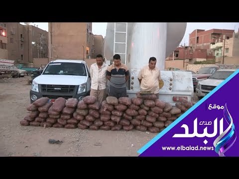 صدي البلد | مكافحة المخدرات احباط تهريب 240 كيلو جرام بانجو بالإسماعيلية