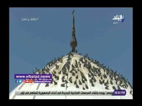 صدي البلد | بكرى يبدأ حلقة اليوم بـ يا رايحين للنبي الغالي هنيالكم وعقبالي