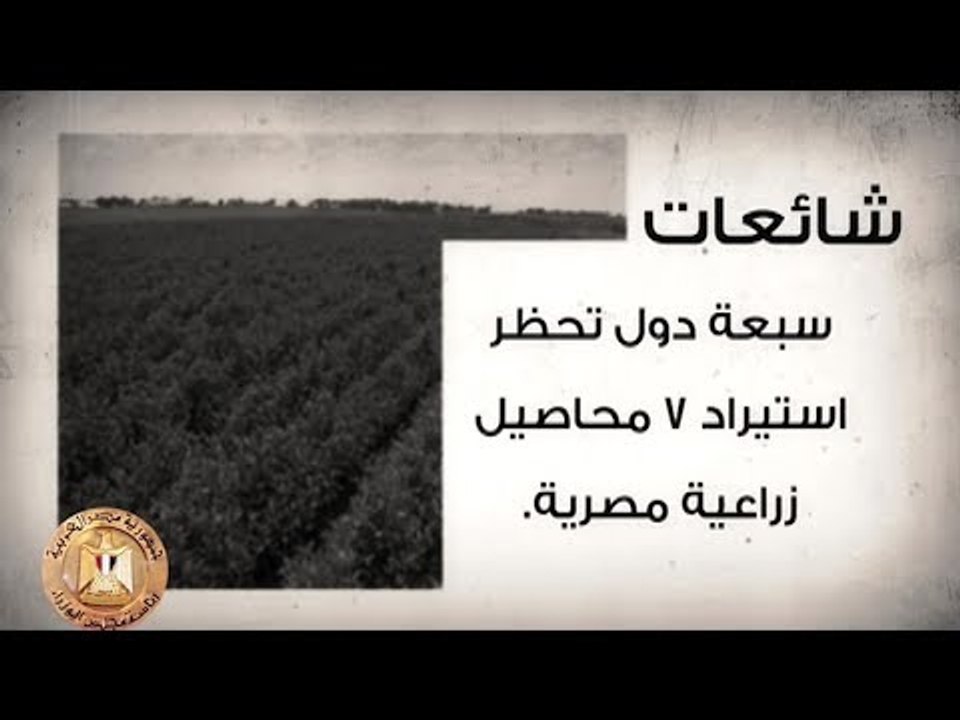 صدي البلد | الوزراء ينفي شائعات متداولة على مواقع التواصل الاجتماعي