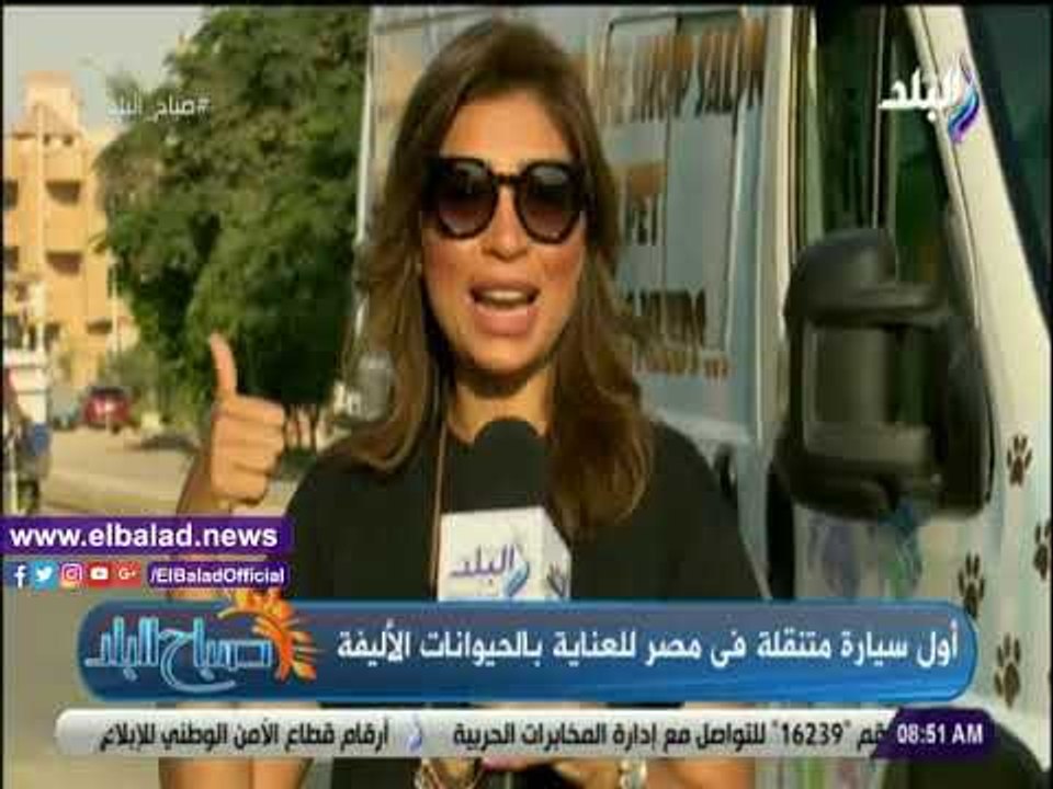 صدى البلد | شاهد..أول سيارة متنقلة في مصر للعناية بالحيوانات الأليفة