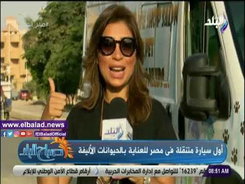 صدى البلد | شاهد..أول سيارة متنقلة في مصر للعناية بالحيوانات الأليفة