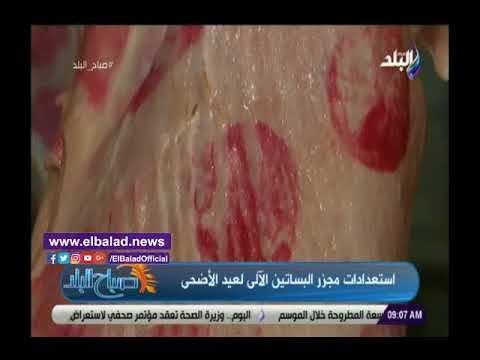 صدي البلد | مجزر البساتين ينهي استعدادات عيد الأضحى المبارك وزيادة الأطباء