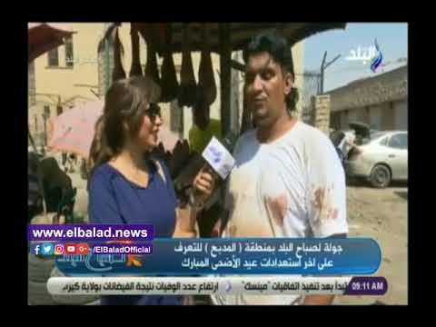 صدي البلد | تعرف على تسعيرة ذبح الأضاحى هذا العام