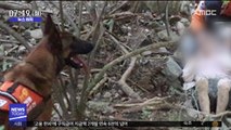 [뉴스터치] 인명구조견 '왕건' 나흘간 실종됐던 70대 구조