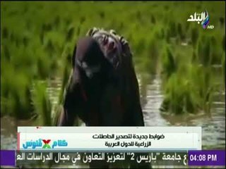 كلام في فلوس - ضوابط جديدة لتصدير الحاصلات الزراعية للدول العربية
