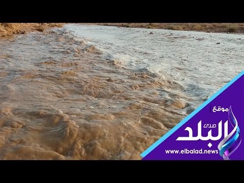 صدى البلد | سيول سانت كاترين تنعش الوديان.. واستعدادات لتفادي مخاطرها