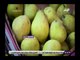 صدي البلد | أحمد موسى يعلن تضامنه على الهواء لمقاطعة الفاكهة بعد ارتفاع أسعارها