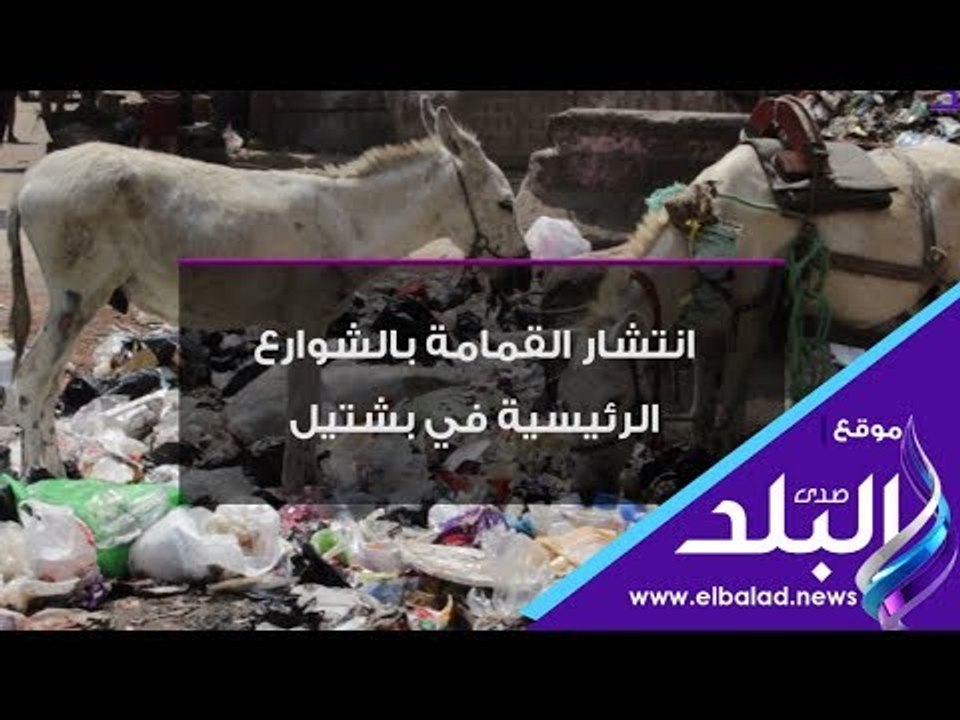 صدى البلد | صدى البلد يرصد انتشار القمامة بالشوارع الرئيسية في بشتيل