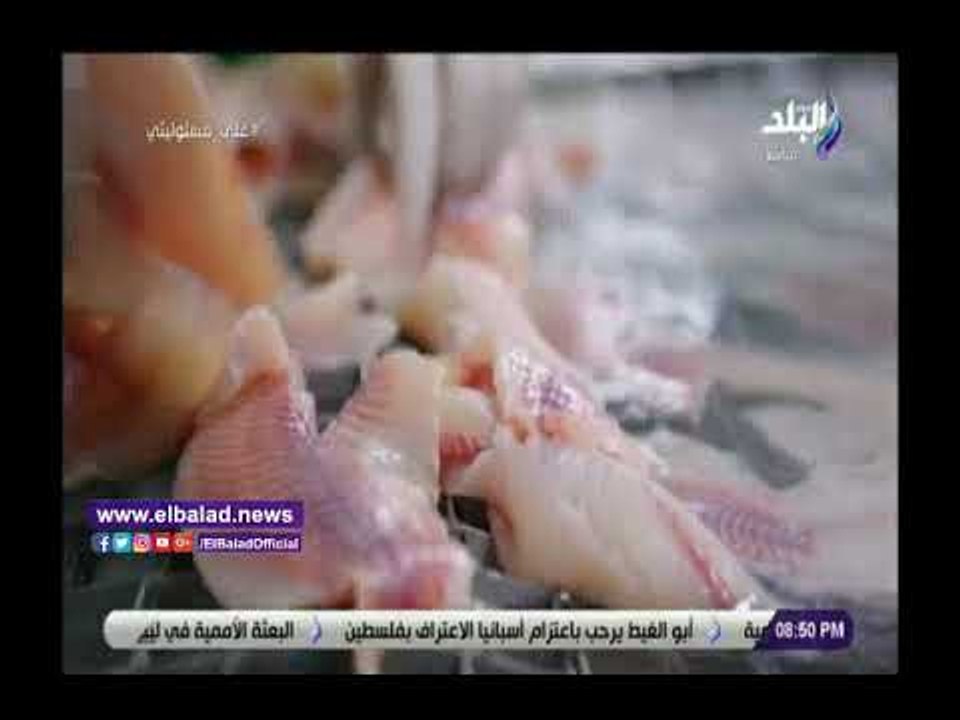 صدى البلد | أبو العينين يعرض إنجازات السيسي أما...