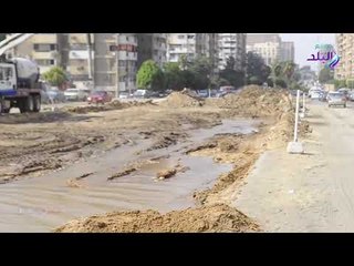 صدى البلد | عمرها عشرات السنين.. استياء بين أهالي مدينة نصر بسبب مذبحة الأشجار