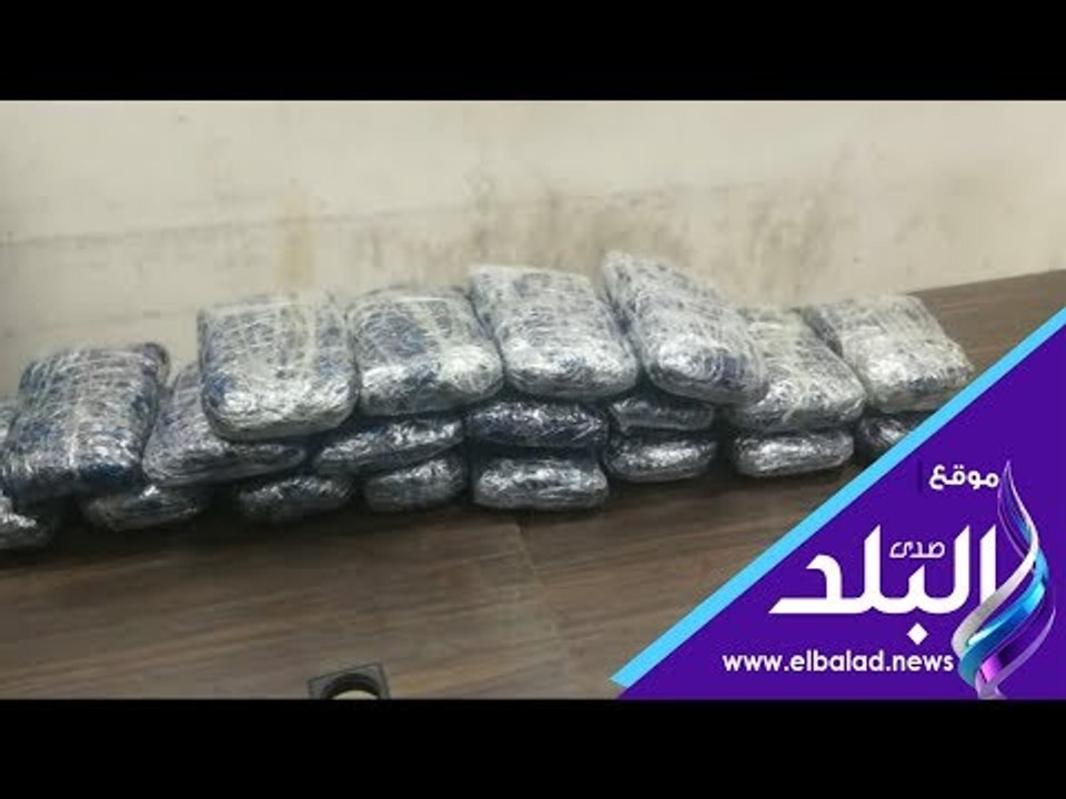 صدي البلد | حملات أمنية على تجار الكيف بمختلف المحافظات