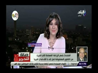 صدي البلد |  الزراعة: الفلاحون رفعوا قضايا تعويض بسبب خسائرهم بعد اكتشاف أزمة بذور الطماطم المغشوشة