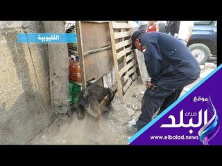 صدي البلد | ضبط 33 قضية اتجار فى المواد المخدرة بالمحافظات