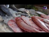 صدي البلد | اسعار الأسماك بالأسواق