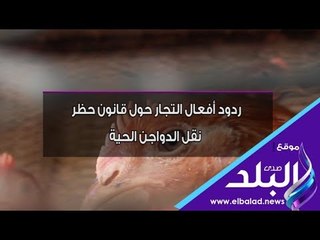 Télécharger la video: صدي البلد | ردود أفعال التجار حول قانون حظر نقل الدواجن الحية