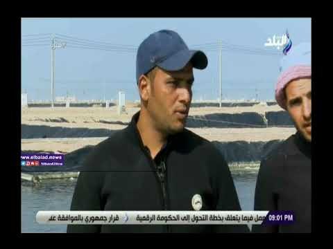 صدى البلد | تعرف على طبيعة عمل الغطاسين بمشروع بركة غليون