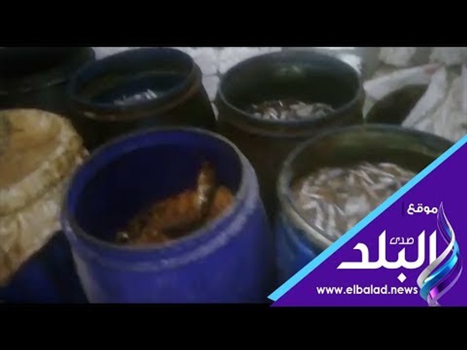 صدي البلد | ضبط 266 149 طن سلع غذائية فاسدة ومج...