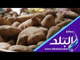 صدي البلد | أسعار الخضروات فى الأسواق اليوم