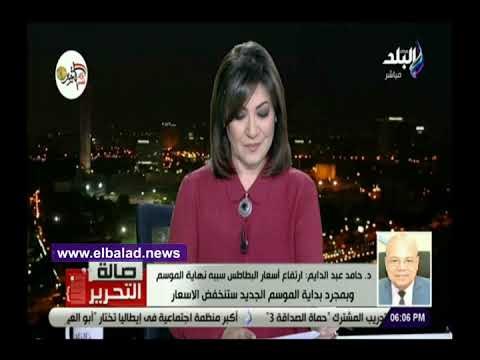 صدى البلد | الزراعة تزف بشرى سارة للمواطنين حول أسعار البطاطس والطماطم