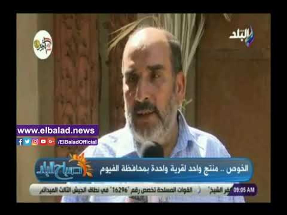 صدي البلد |  تمويل المشروعات: تمويل أي مشروع قرية واحده منتج واحد بجميع المحافظات