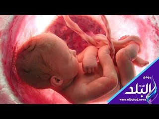 صدي البلد | هل يمكن لجنين أن يعيش داخل رحم أمه لعقود من الزمن ؟