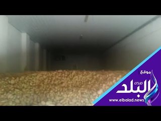 صدي البلد | ضربة جديدة لمخازن مافيا البطاطس بالمحافظات