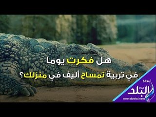 هل فكرت يوما في تربية تمساح أليف في منزلك؟
