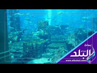 صدي البلد | غرق أكثر مدينة فاسدة على وجه الأرض