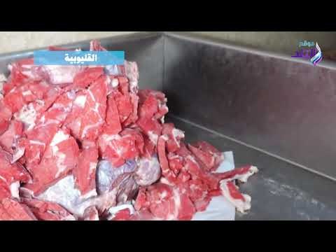 صدي البلد | ضبط أسماك ودواجن فاسدة بالقليوبية و5 طن سكر في سوهاج