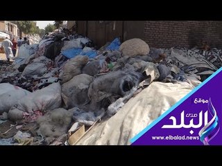 Download Video: صدى البلد | حملة لشرطة البيئة على المصانع ومقالب القمامة بالخانكة وشبرامنت