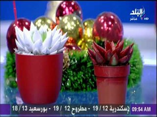 صباح البلد - أنواع شجر الكريسماس..وطريقة تزينها فى المنزل