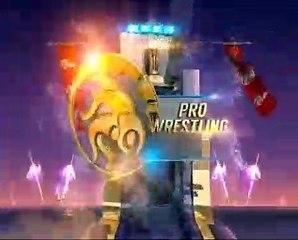 PWL 4 Final: Ravi Kumar vs Nitin Rathi | Haryana Hammers vs Punjab Royals | Full Match