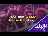 صدي البلد | فيديو جراف :  الحكومة تفعل قانون منع تداول الطيور الحية‎