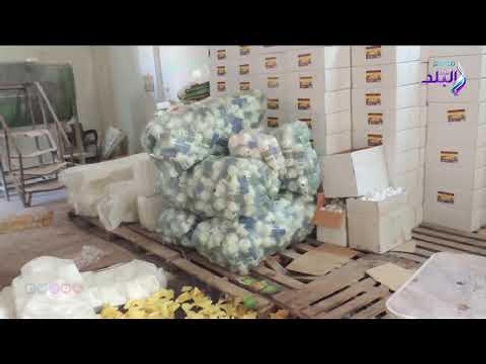 صدى البلد |  ضبط 65 طن أسمدة زراعية مجهولة المصدر داخل مصنعين في المنوفية