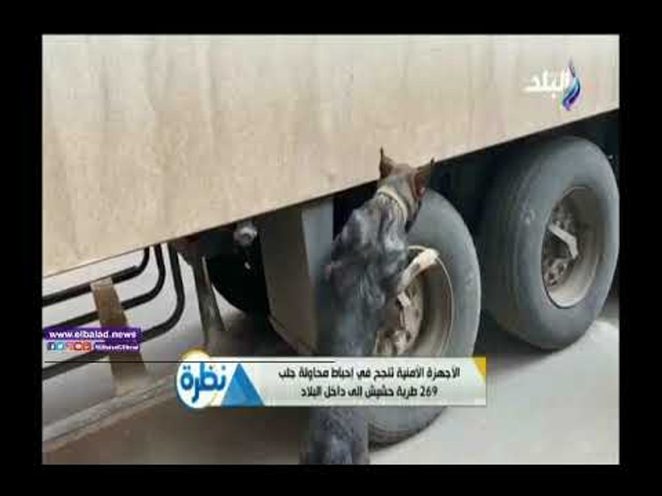 صدى البلد | الداخلية تحبط محاولة تهريب 269 طربة حشيش..فيديو